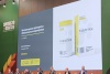 Золотая осень 2024