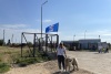 День открытых дверей в приюте