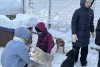 5а школы 3 в приюте СББЖ