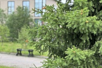 ​Регионы смогут самостоятельно исключать ОКН из реестра