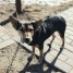 приют сббж 03.06.2026