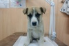 Приют на 23.10.2025
