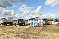 ​ДВКН НАО и ГБУ НАО «СББЖ» приняли участие в учениях по ликвидации эпизоотического очага бешенства