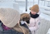 5а школы 3 в приюте СББЖ