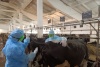 Учения по лейкозу 2025
