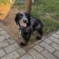 приют сббж 09.07.2026